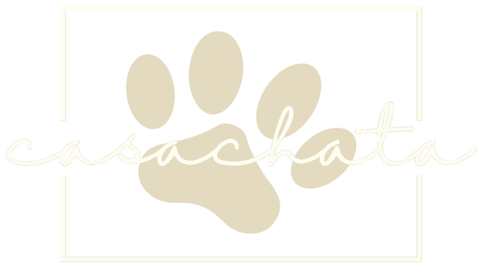Casachata